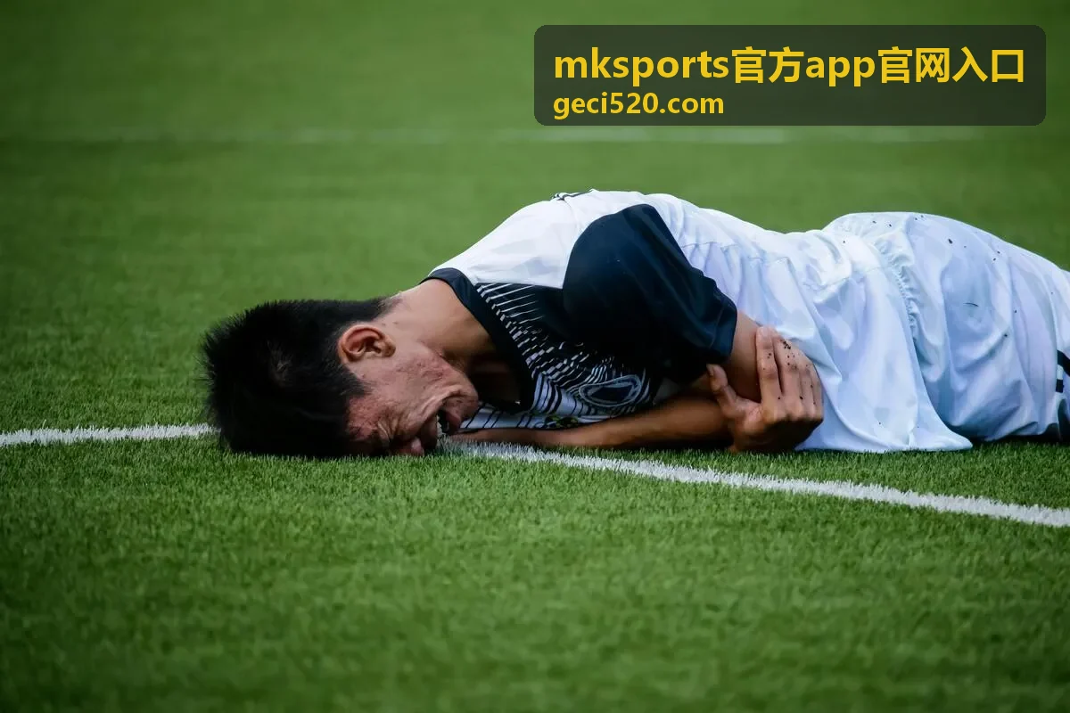 mksports官方app官网入口版本功能图