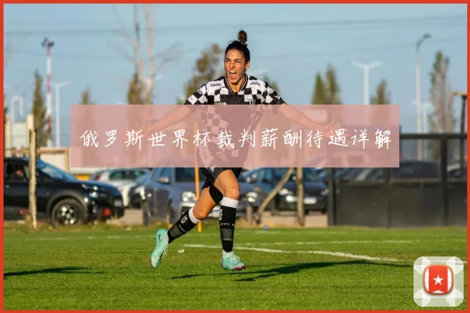 俄罗斯世界杯裁判薪酬待遇详解