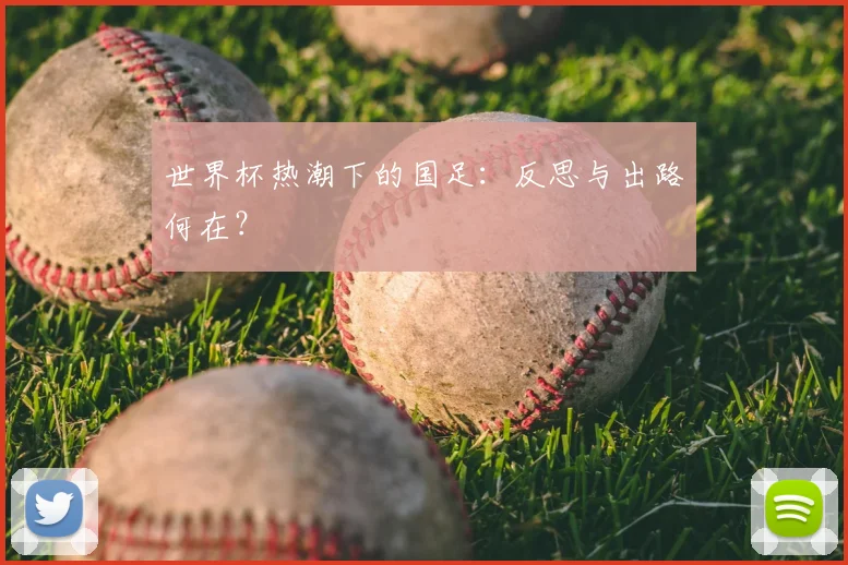 世界杯热潮下的国足:反思与出路何在?