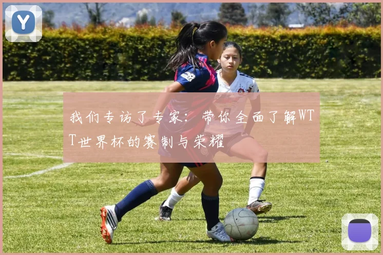 我们专访了专家:带你全面了解WTT世界杯的赛制与荣耀