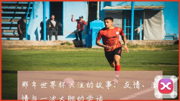 那年世界杯买注的故事：友情、激情与一次大胆的尝试
