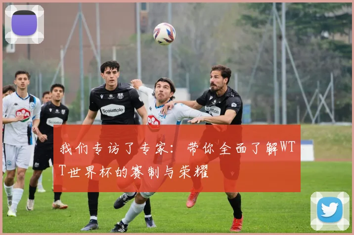 我们专访了专家:带你全面了解WTT世界杯的赛制与荣耀