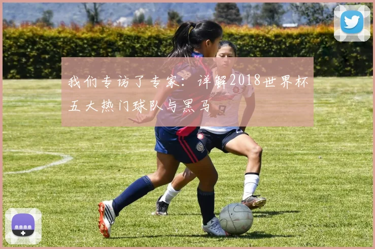 我们专访了专家:详解2018世界杯五大热门球队与黑马