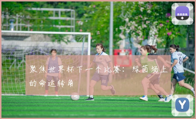 聚焦世界杯下一个比赛:绿茵场上的命运转角