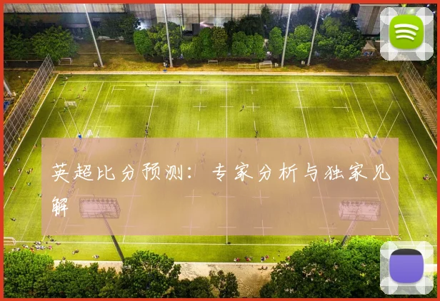 英超比分预测：专家分析与独家见解